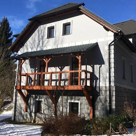 Villa Vykmanov Medenec エクステリア 写真